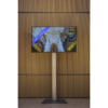 LED TV scherm 55 inch + statief