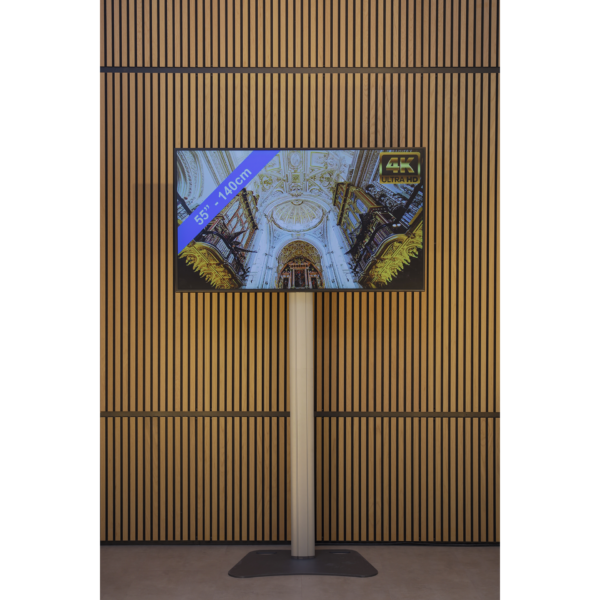 LED TV scherm 55 inch + statief