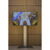 LED TV scherm 65 inch + statief