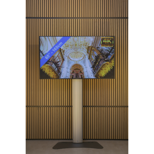 LED TV scherm 65 inch + statief