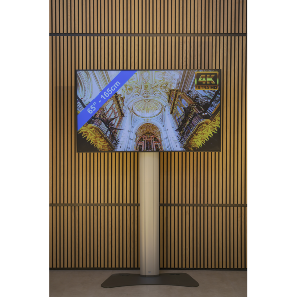 LED TV scherm 65 inch + statief