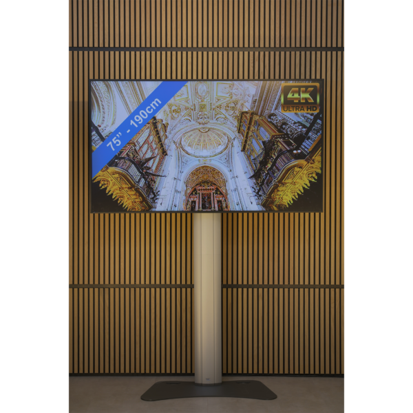 LED TV scherm 65 inch + statief