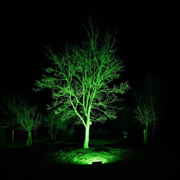SGM P5 Washlight - Buitenverlichting