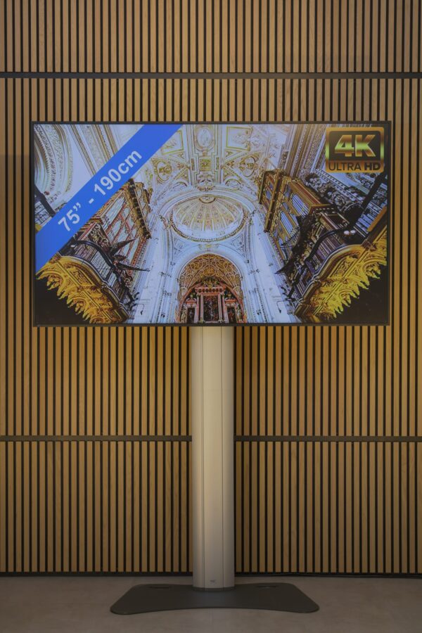 LED TV scherm 65 inch + statief