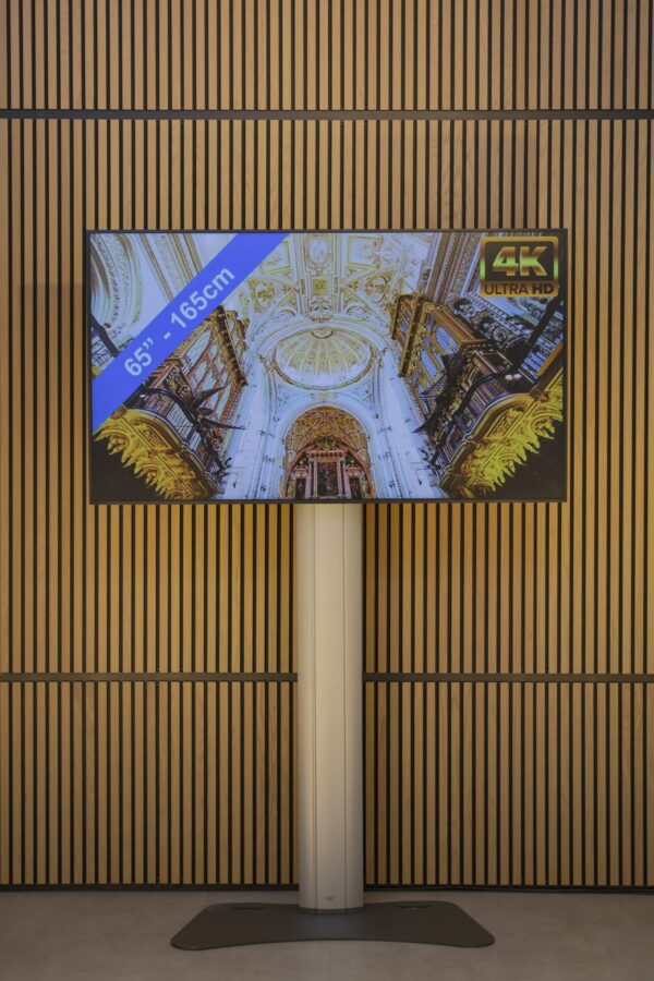 LED TV scherm 65 inch + statief