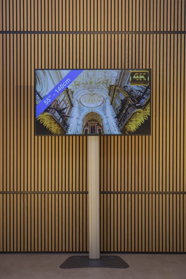 LED TV scherm 65 inch + statief